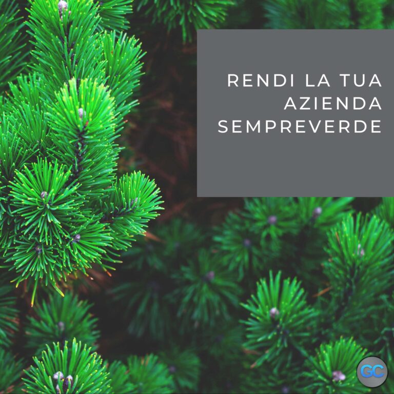 Rendi la tua azienda sempreverde con il social media advertising